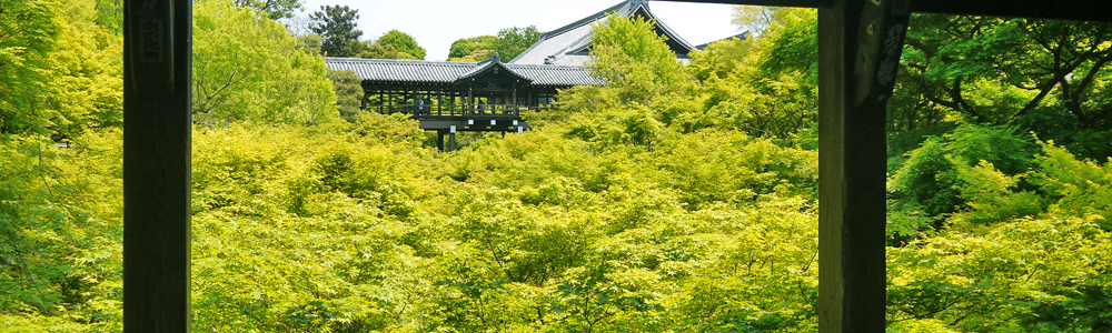 京都雨の日の東福寺